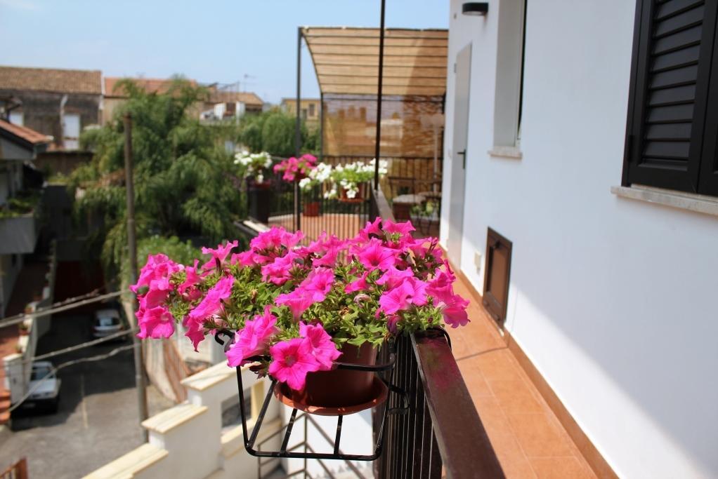 Tortugas B&B Giarre Bagian luar foto